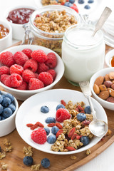homemade muesli with fresh berries and yogurt, vertical
