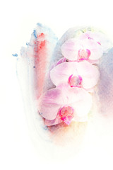 Flower watercolor illustration.