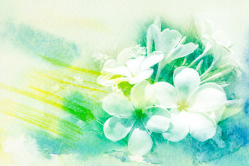 Flower watercolor illustration. - obrazy, fototapety, plakaty