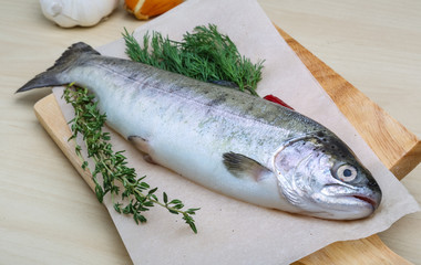 Raw trout