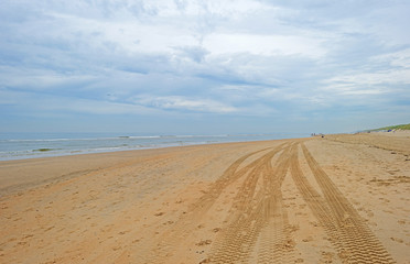 Beach along the dutch coast in summer