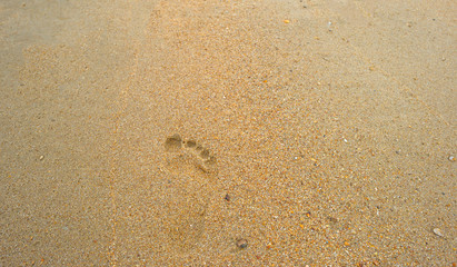 Fototapeta na wymiar Footprint in the sand of a beach in summer