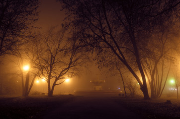 Fototapeta na wymiar The old park in fog. Russia, Cherepovets