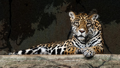 Obrazy na Szkle  Leopard Leopard na skale, ilustracja
