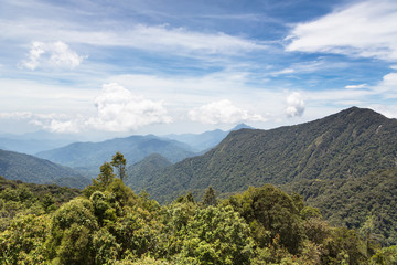 Cameron Highlands, Malaysia
