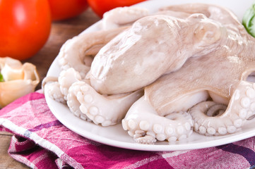 Fresh octopus.