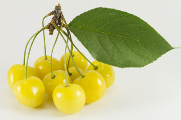 Sprig of yellow sweet cherries