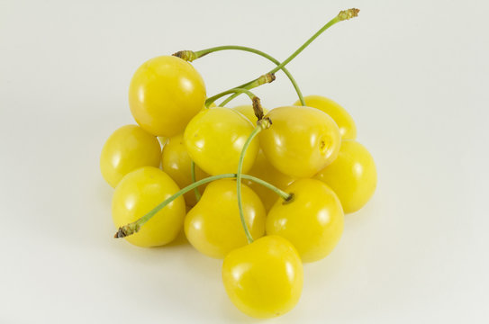Handful of yellow sweet cherries