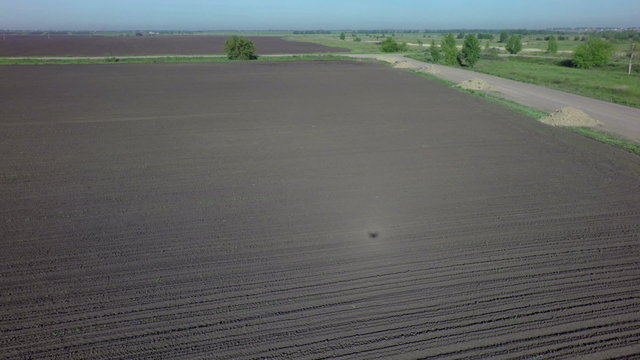 Plowed field ready for sowing. 