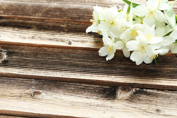 White flowers of jasmine on brown wooden background