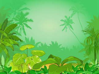 Vector illustration of  tropical rainforest 