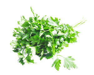 Parsley Herb