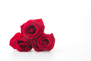 Obraz na płótnie Canvas red rose isolated on white background