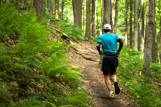 male trail runner on the track in the woods
