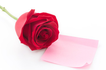 red rose with pink paper note