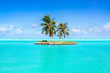 Photo sur Plexiglas Île Vacances sur une île isolée du Pacifique Sud