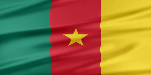 Obraz premium Cameroon Flag.