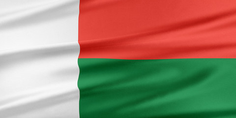 Obraz premium Madagascar Flag.