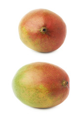 Single mango fruit isolated