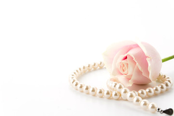 white and pink rose with necklace on white background