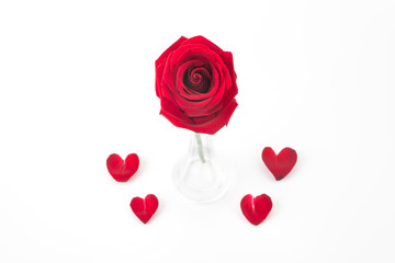 Obraz na płótnie Canvas red rose with rose petal