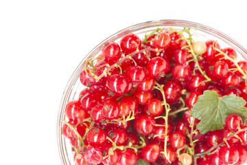Glass bowl with redcurrant isolated on white 