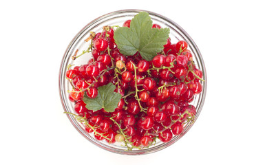 Glass bowl with redcurrant isolated on white 