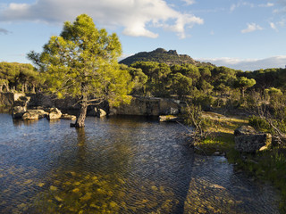 Fototapeta na wymiar Lagunilla en el pinar del Piquillo. Cadalso de los Vidrios. Madrid. Spain.