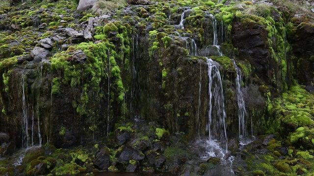 Stone wall with green moss and water trickling down everywhere.