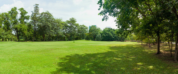 green grass field in big city park - obrazy, fototapety, plakaty