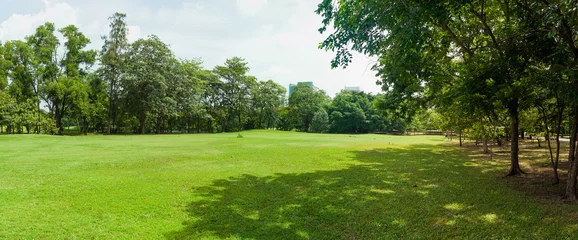 Gordijnen groen grasveld in groot stadspark © fotobieshutterb