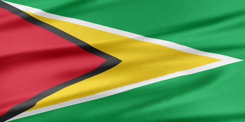 Guyana Flag.