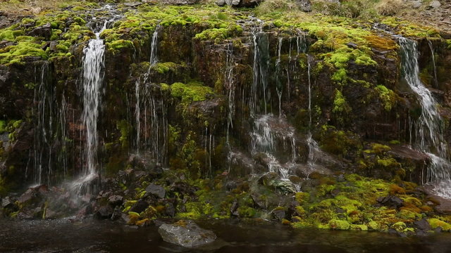 Stone wall with green moss and water trickling down everywhere.