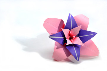 origami orchid 