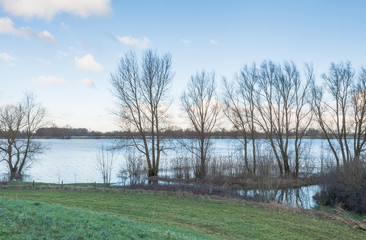 Flooded river with bare trees