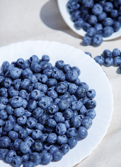 Blue Blueberries
fruit
