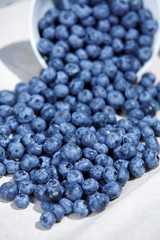 Blue Blueberries
fruit
