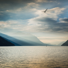 Fototapeta na wymiar Evening on the lake, contrasting clouds in the sky, hovering bird. Play of light and shadow in the mountains