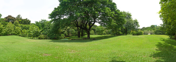 green grass field in big city park panoram
