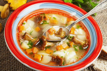 Mushroom soup