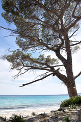 Obraz na płótnie Canvas plage de Corse du sud