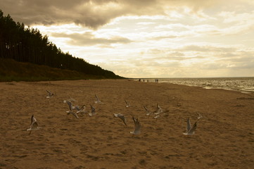 popołudnie nad Bałtykiem © ewsonek