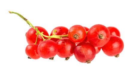Red currants isolated on white