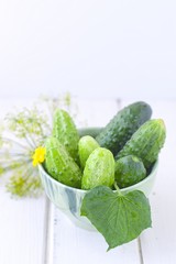 cucumbers for pickling