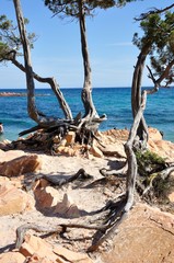 plage de Corse du sud