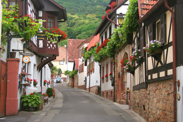 Germania,Palatinato,il paese di Hambach