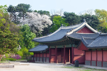 Korean style houses in Changdeokgung Palace in Seoul, Korea.