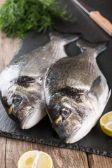 Raw fresh fish dorado