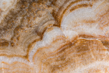 texture of natural marble
