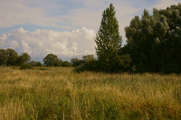 łąka © ewsonek